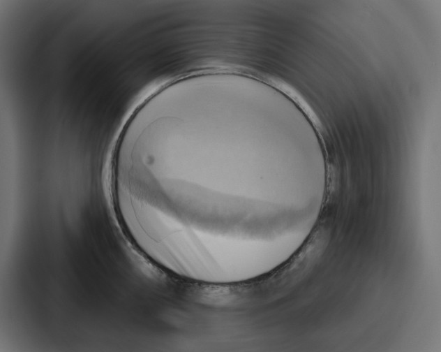 X0000086751098200705111650
