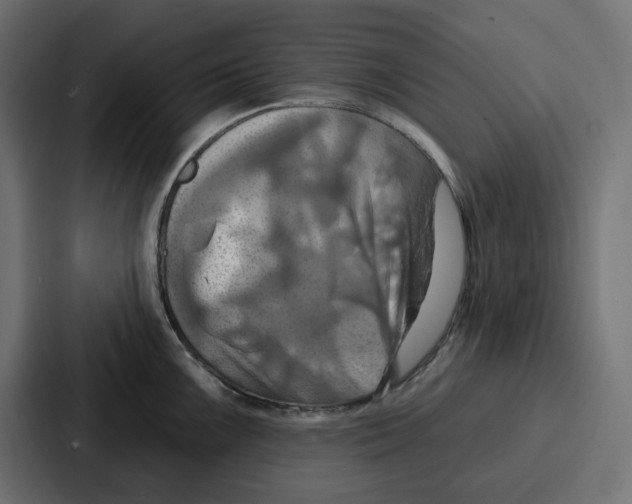 X0000086751099200705111650