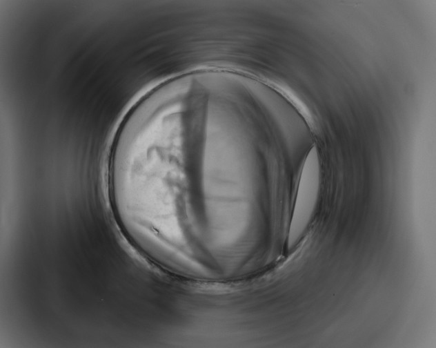 X0000086751100200705111650