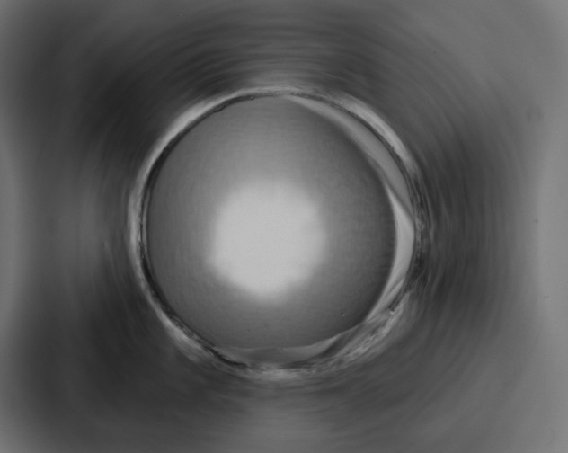 X0000086751101200705111650