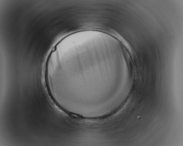 X0000086751102200705111650