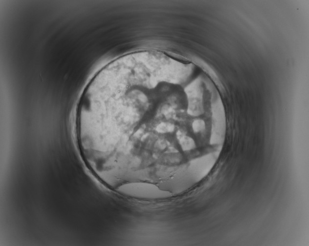X0000086751103200705111650