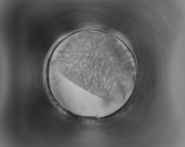 X0000086751104200705111650