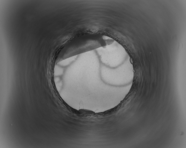X0000086751105200705111649