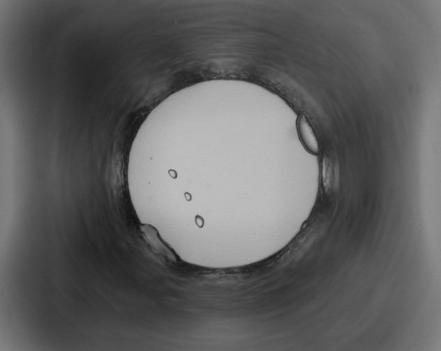 X0000086751107200705111649
