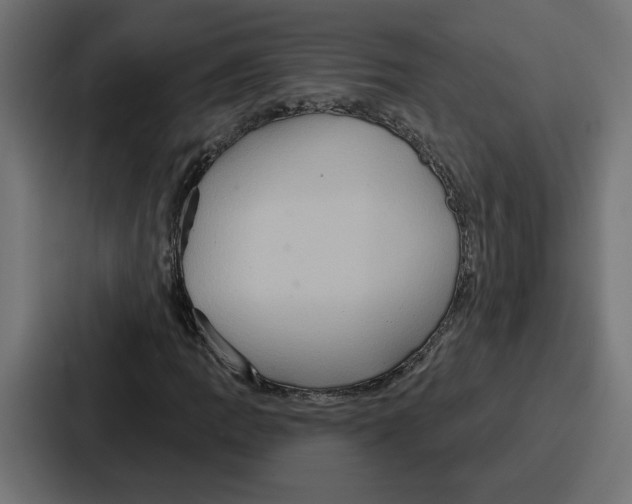 X0000086751109200705111649