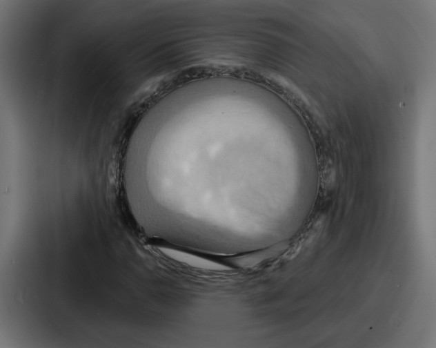 X0000086751110200705111649