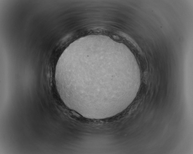 X0000086751111200705111649