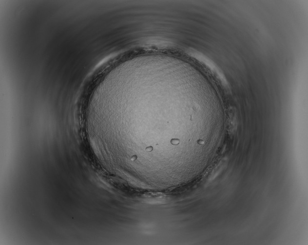 X0000086751112200705111649
