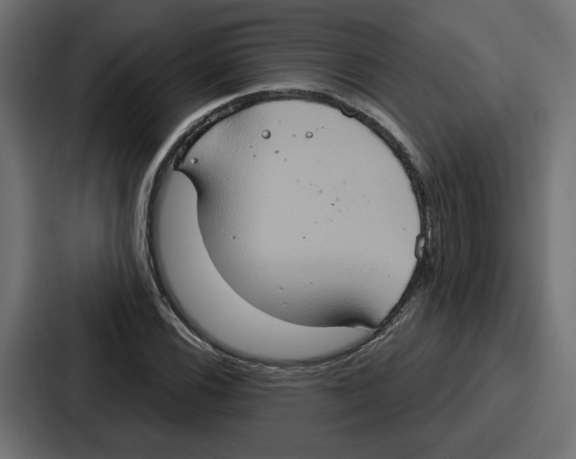 X0000086751116200705111649