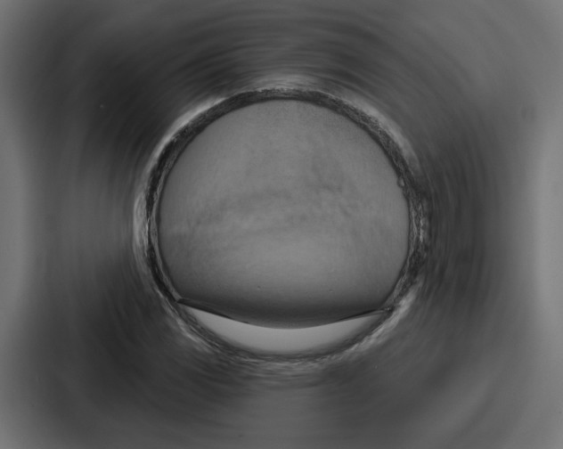 X0000086751117200705111649