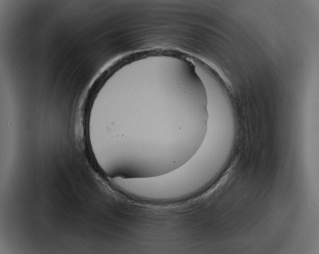 X0000086751118200705111649