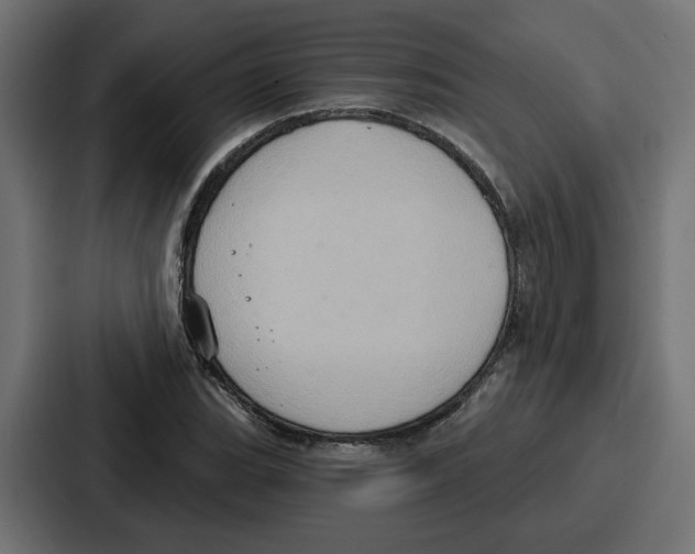X0000086751119200705111649