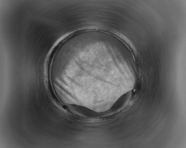 X0000086751120200705111649