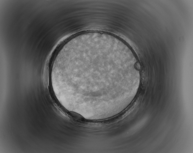 X0000086751123200705111649