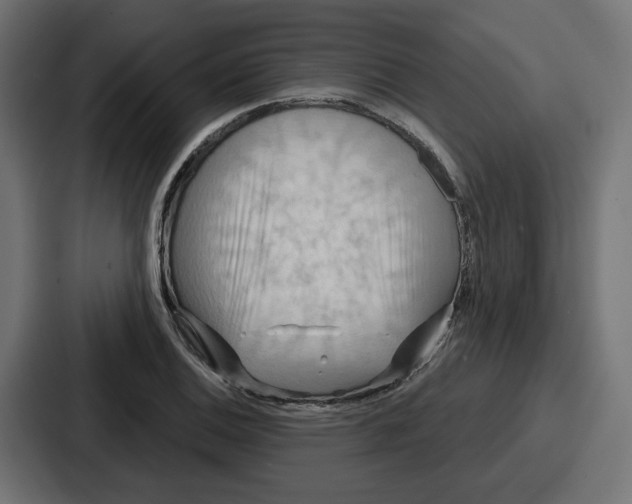 X0000086751124200705111649