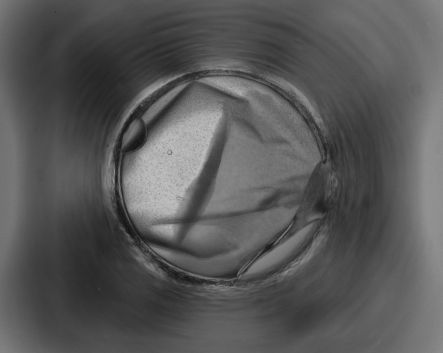 X0000086751125200705111649