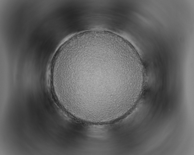 X0000086751126200705111649