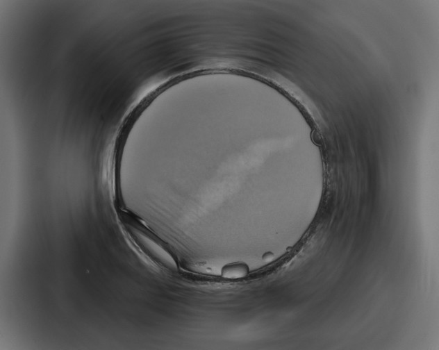 X0000086751127200705111649