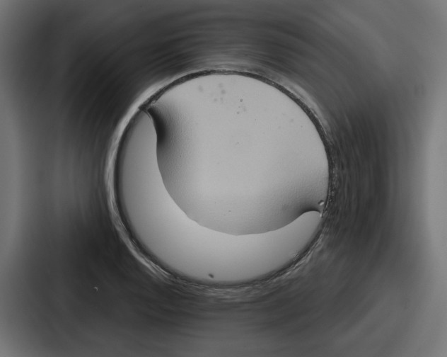 X0000086751128200705111649