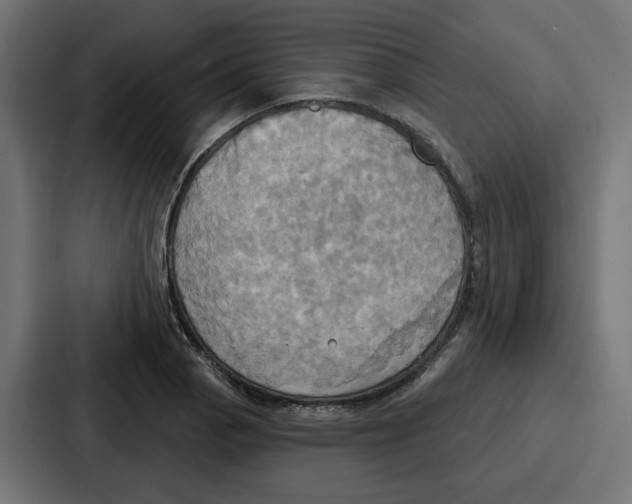 X0000086751129200705111649
