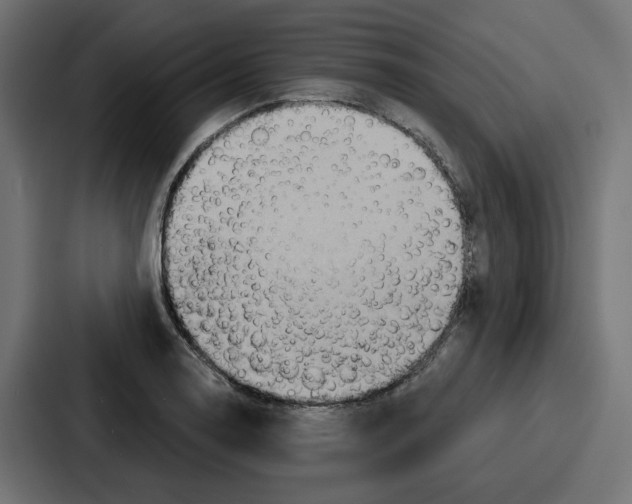 X0000086751130200705111649