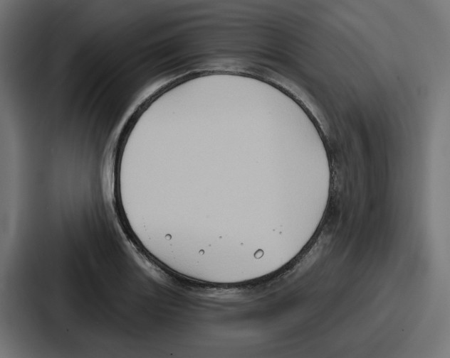 X0000086751131200705111649