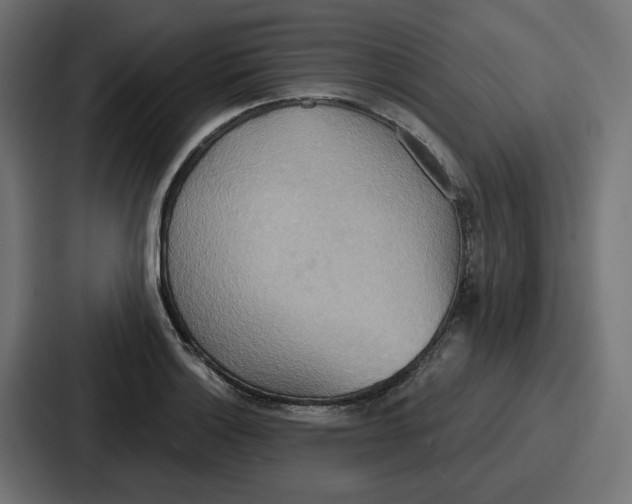 X0000086751132200705111649