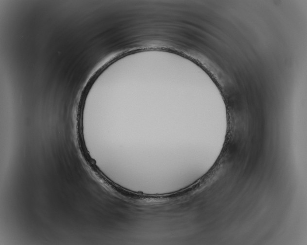 X0000086751134200705111649