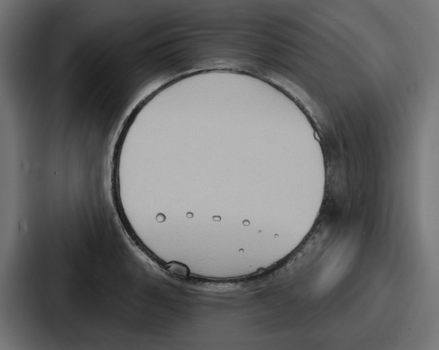 X0000086751135200705111649