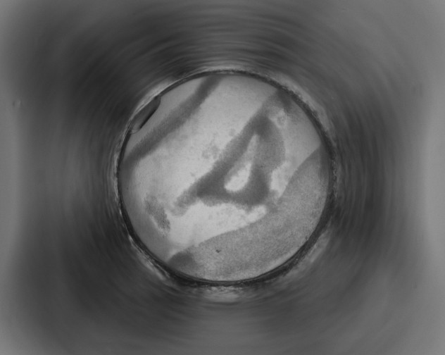 X0000086751137200705111649
