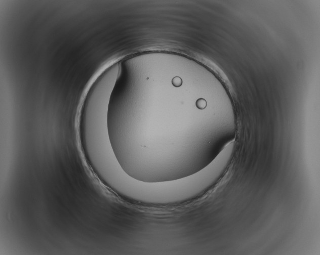 X0000086751138200705111649