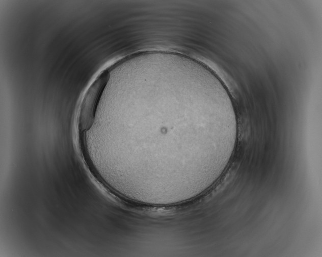 X0000086751139200705111649