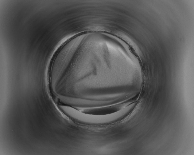 X0000086751141200705111649