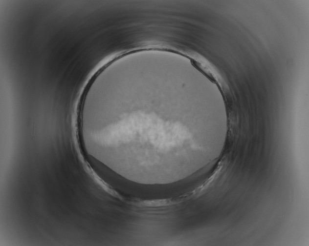 X0000086751142200705111649