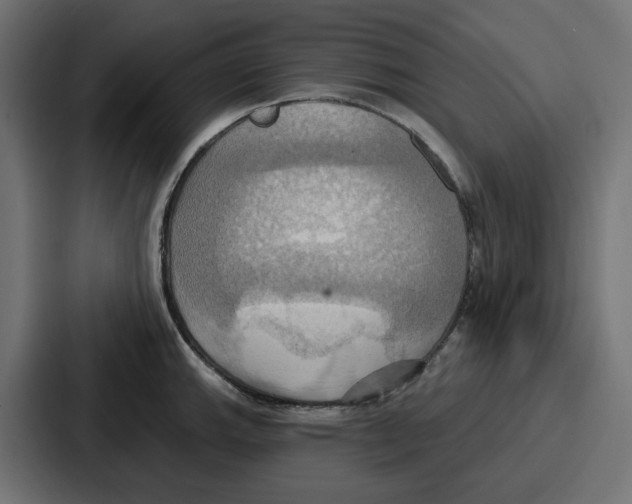 X0000086751143200705111649