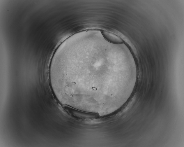 X0000086751145200705111649
