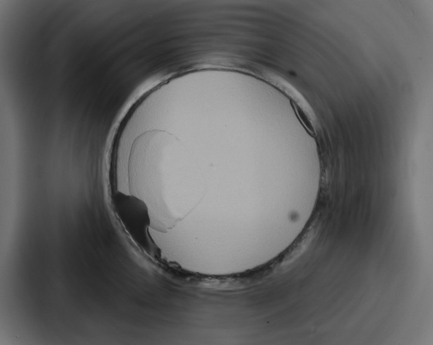 X0000086751146200705111650