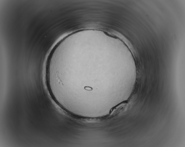 X0000086751147200705111650