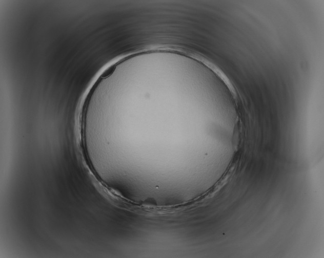 X0000086751148200705111650