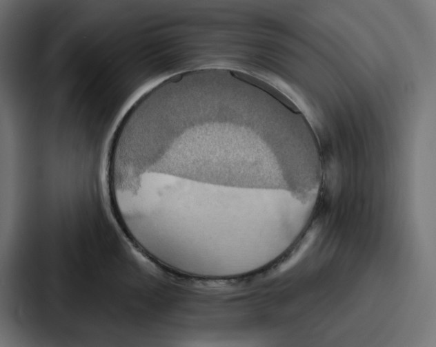 X0000086751149200705111650