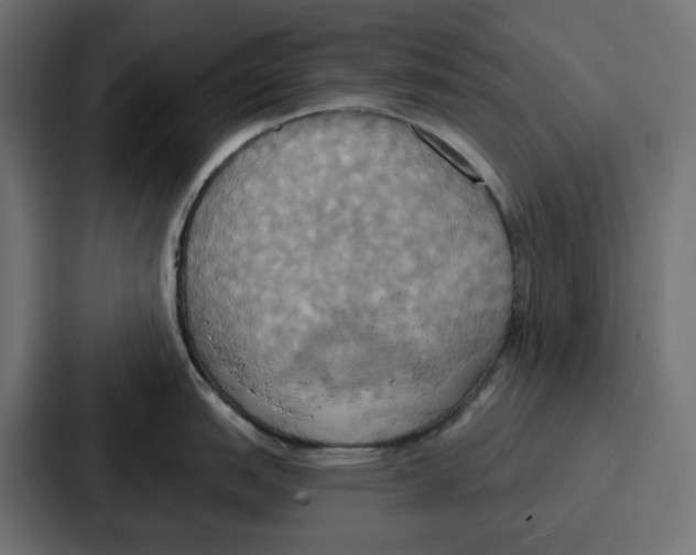 X0000086751151200705111650