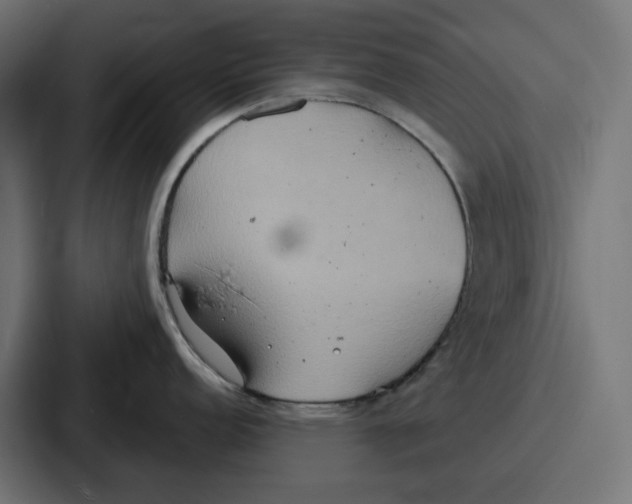 X0000086751152200705111650