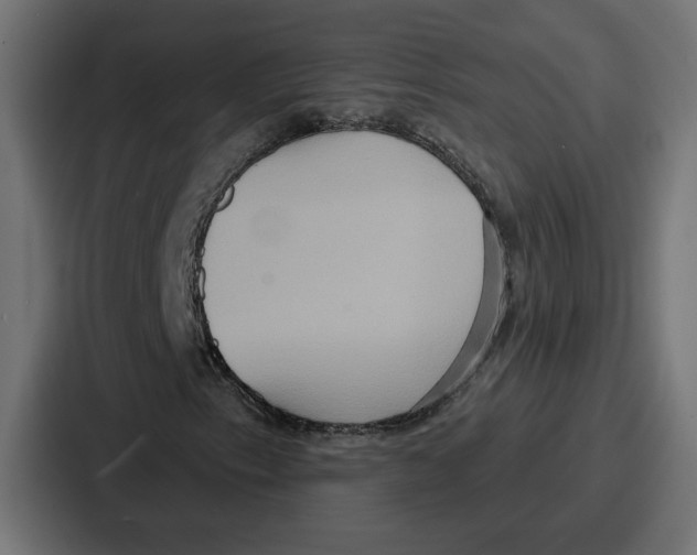 X0000086751153200705111649