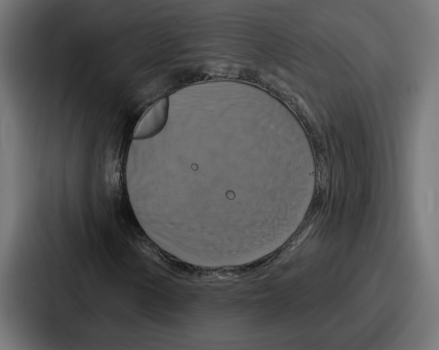 X0000086751154200705111649