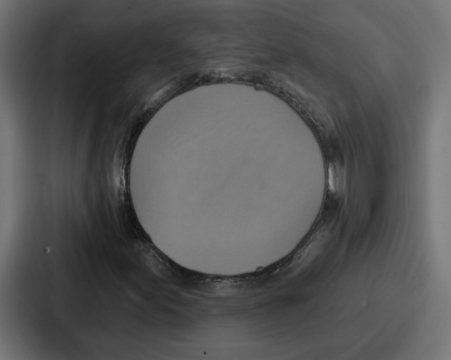 X0000086751155200705111649