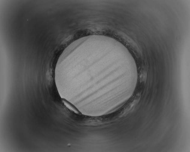 X0000086751156200705111649