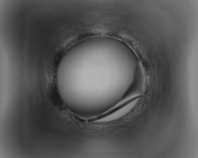 X0000086751157200705111649