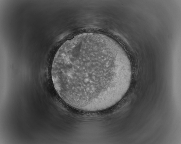 X0000086751159200705111649