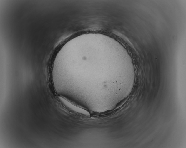 X0000086751160200705111649